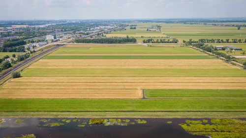 De polder waar Sliedrecht-Noord gebouwd gaat worden.